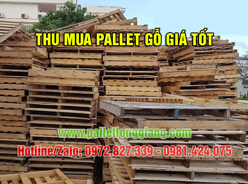thu mua pallet gỗ